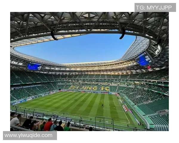 足球明星的传奇人生与他们在绿茵场上的辉煌成就探秘