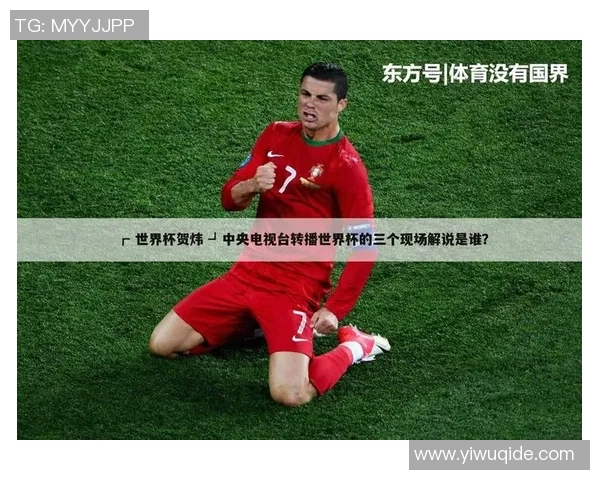 慈善事业中的足球明星黑人身份揭秘与贡献分析